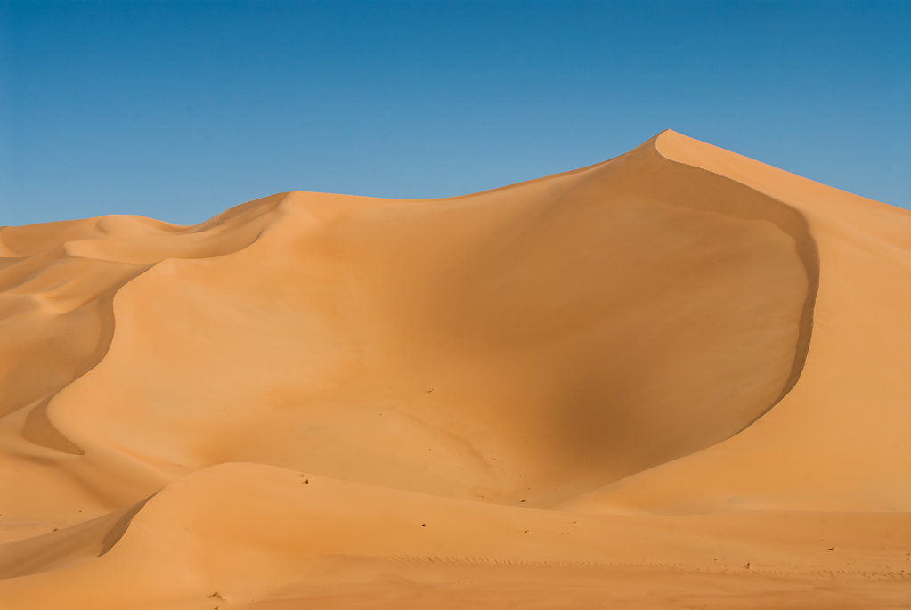 jocelynchavy-niger-2216.jpg