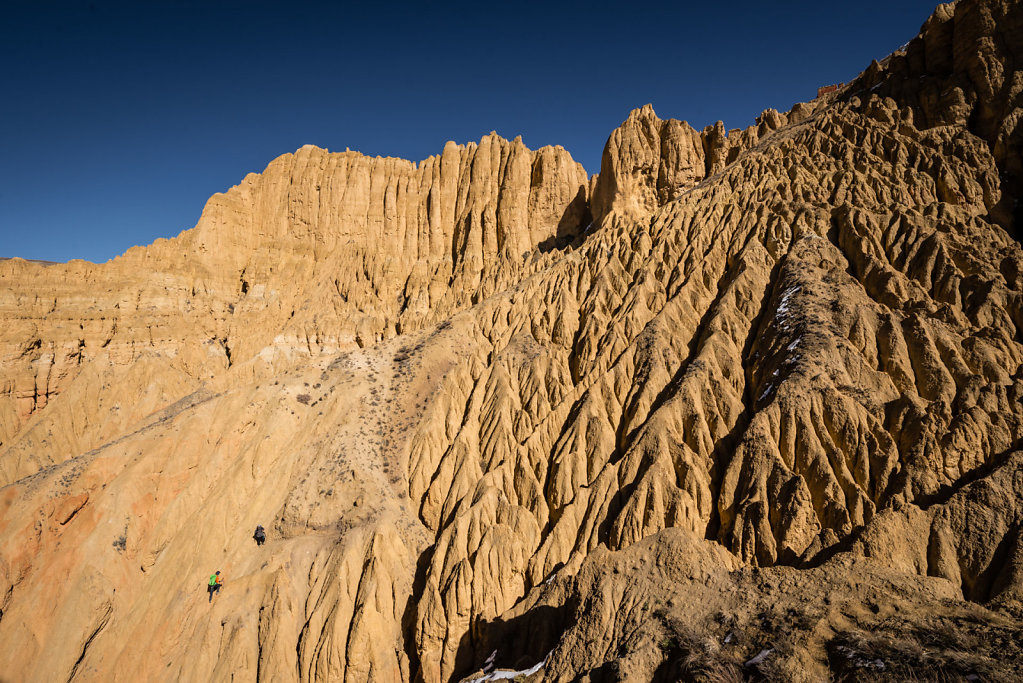 jocelynchavy-mustang-5871.jpg