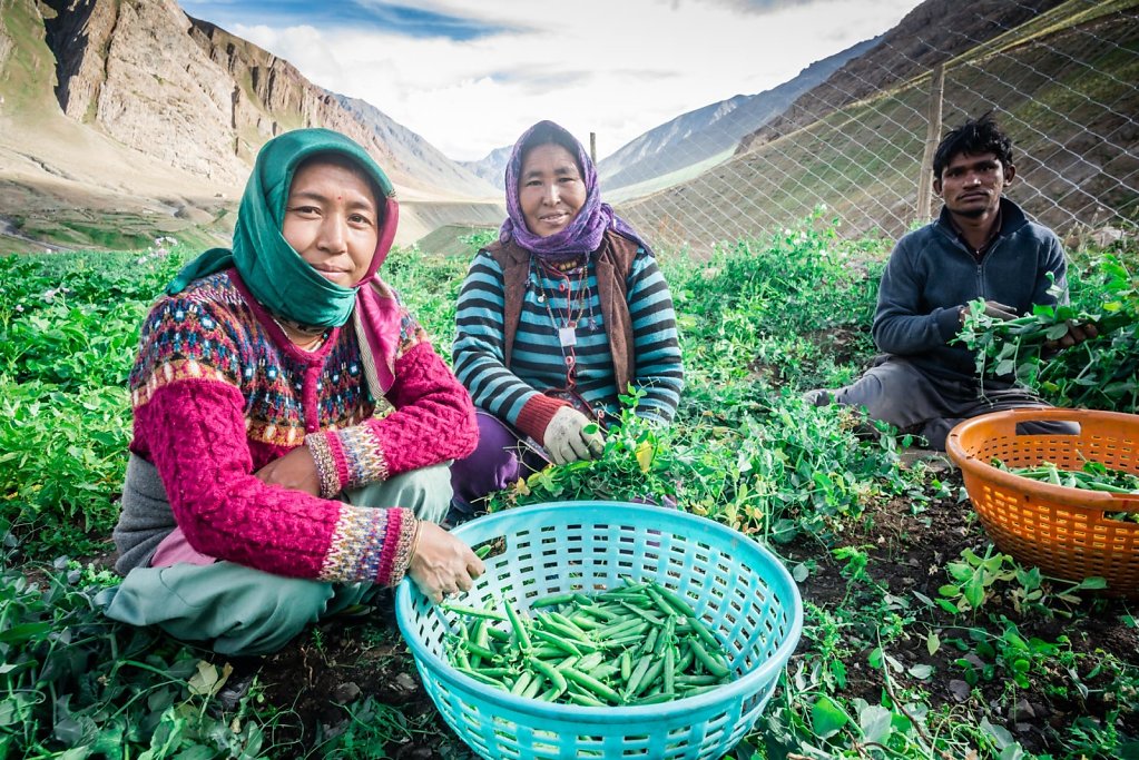 jocelynchavy-spiti-8554.jpg